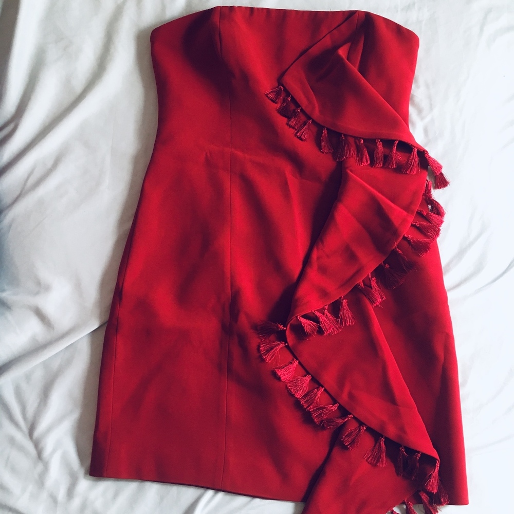 Nat Tassel & Ruffle Mini Dress